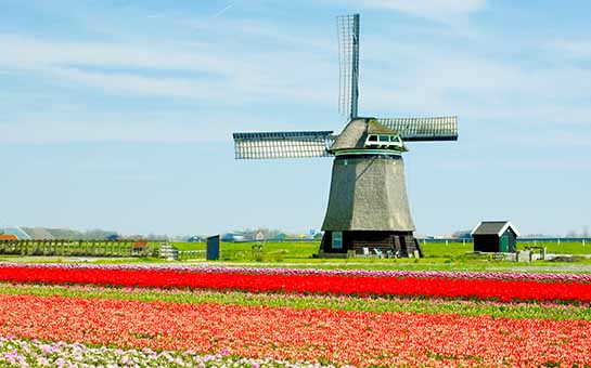 Seguro de salud para expatriados en los Países Bajos